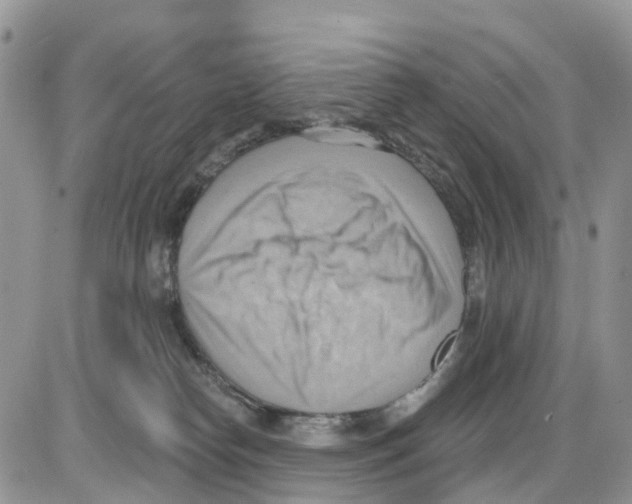 X0000086000182200704201840