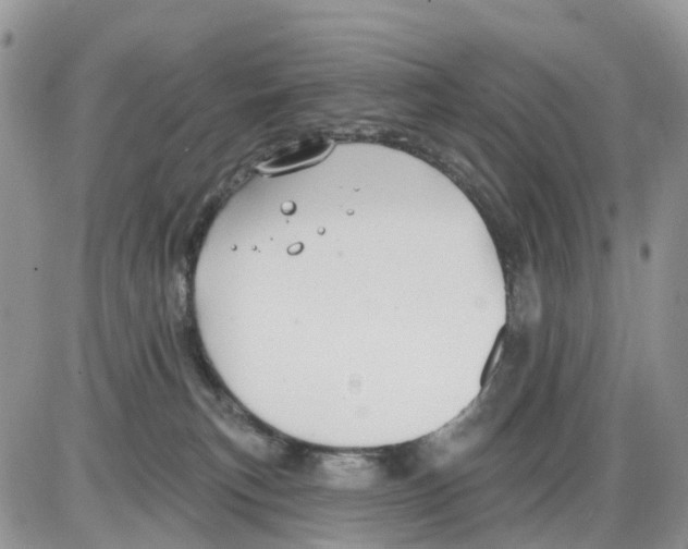 X0000086000183200704201840