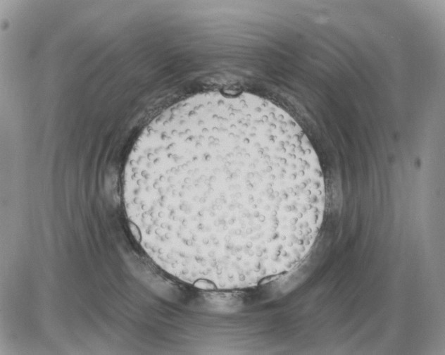 X0000086000187200704201840