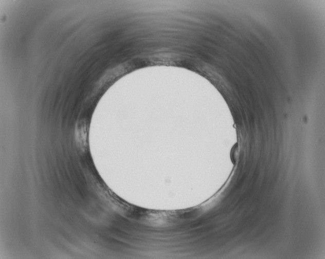 X0000086000190200704201840