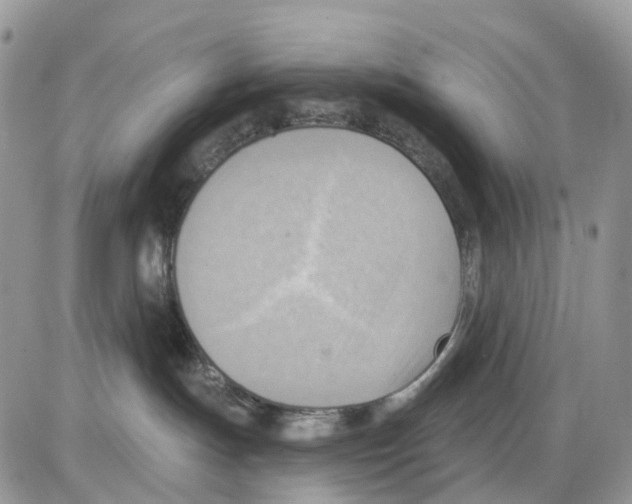 X0000086000191200704201840