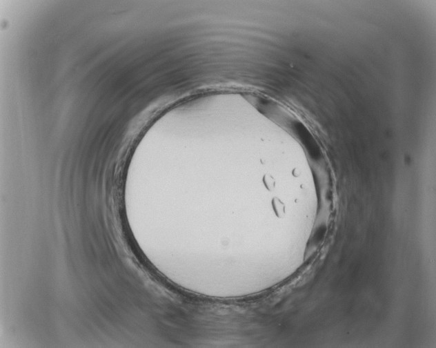 X0000086000193200704201840