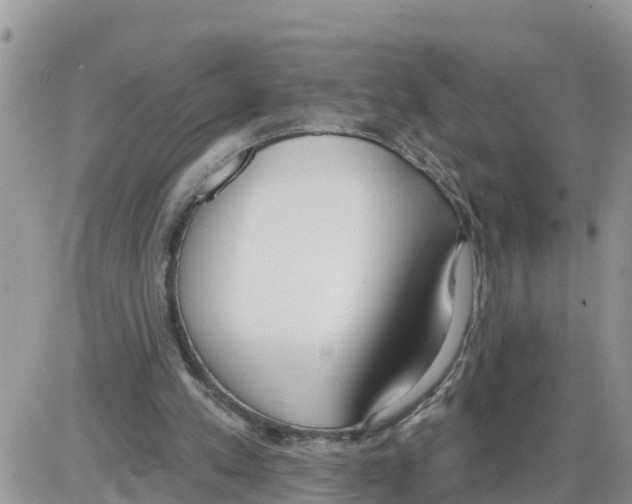 X0000086000197200704201840