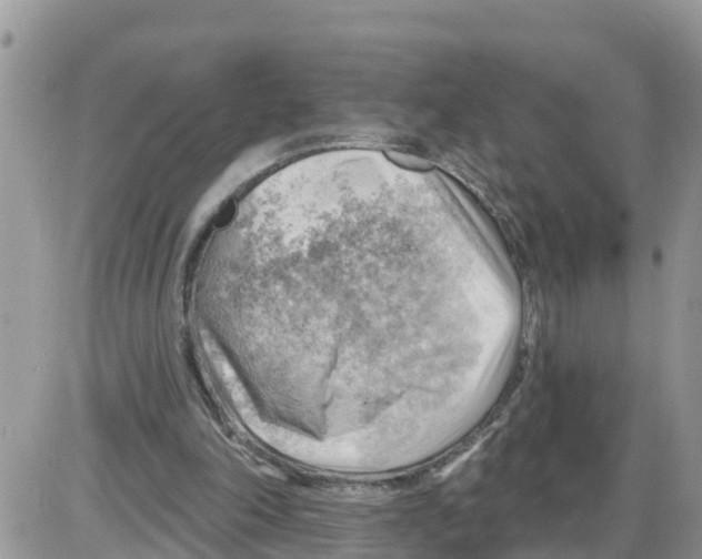 X0000086000198200704201840