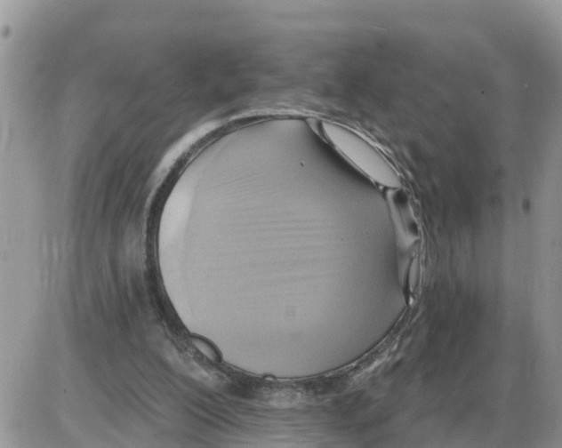 X0000086000200200704201840