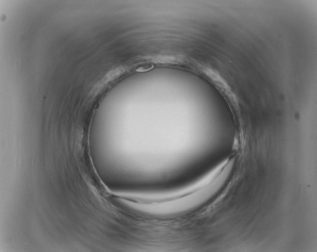 X0000086000201200704201840