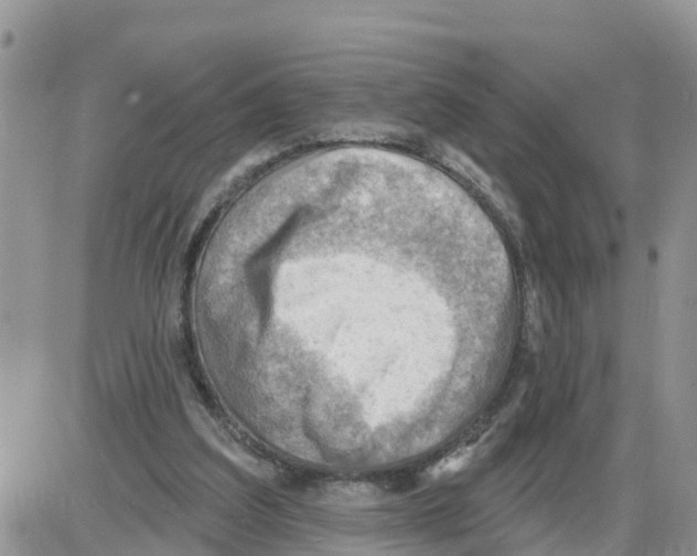 X0000086000203200704201840