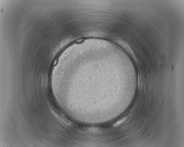 X0000086000204200704201840