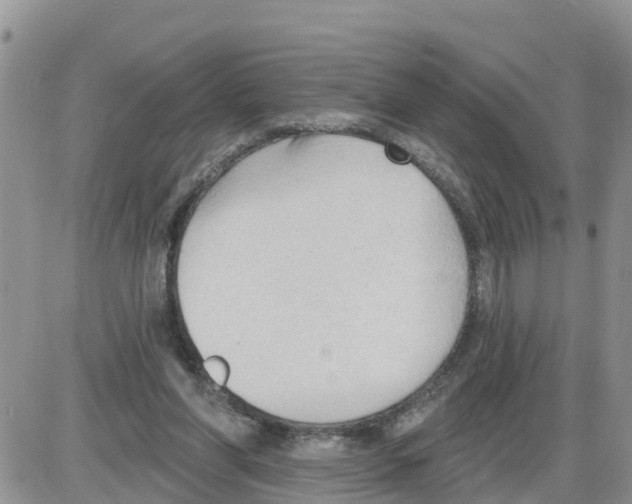 X0000086000206200704201839