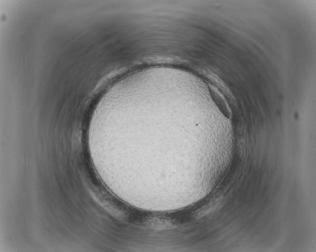 X0000086000207200704201839