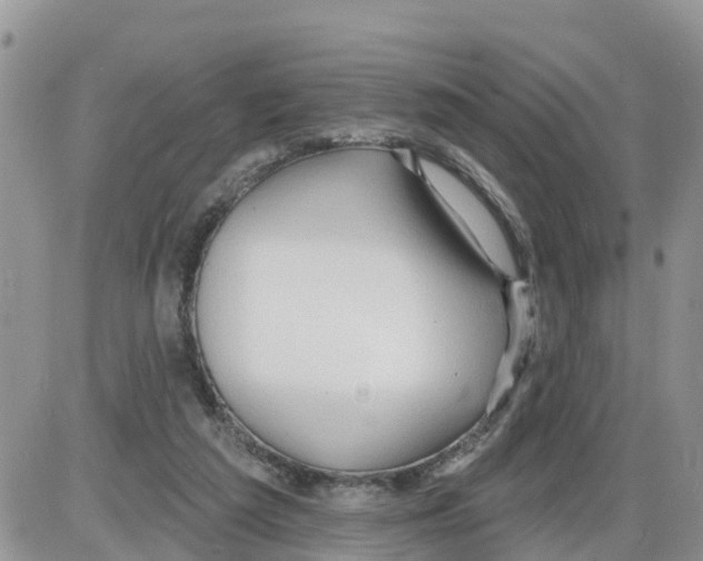 X0000086000209200704201839