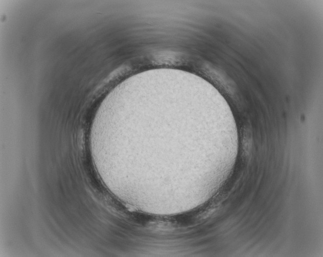 X0000086000211200704201839