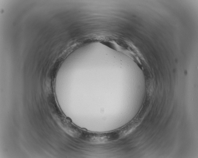 X0000086000213200704201839