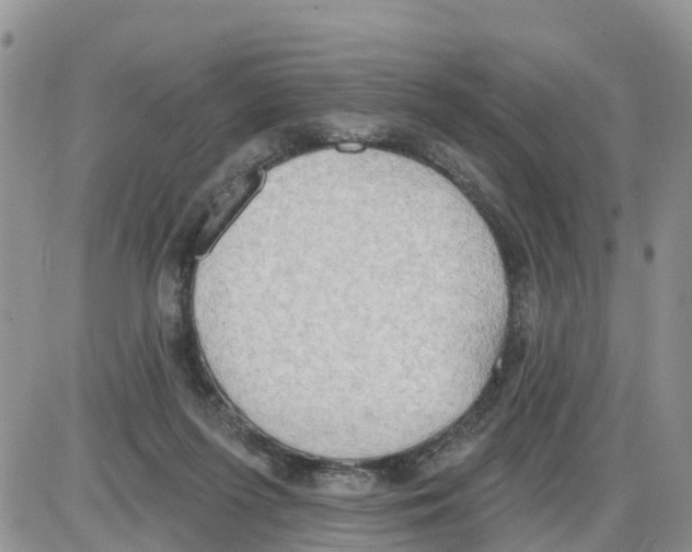 X0000086000215200704201839