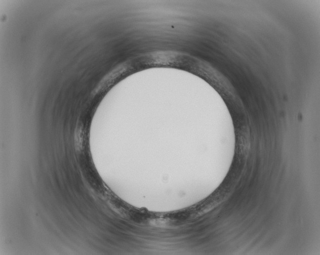 X0000086000216200704201839