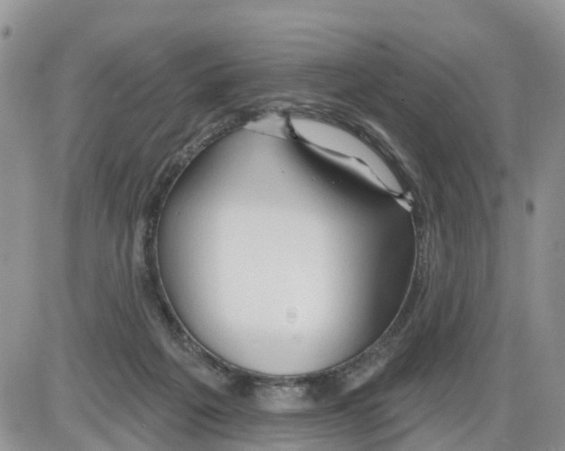 X0000086000217200704201839