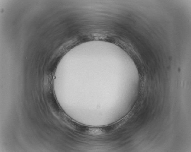 X0000086000218200704201839