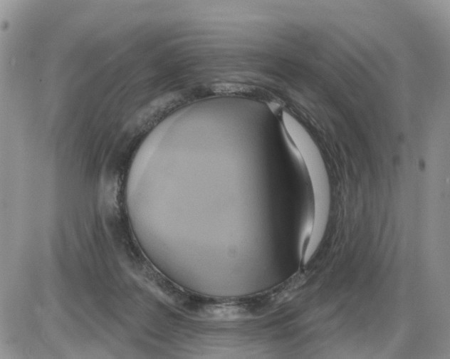 X0000086000219200704201839