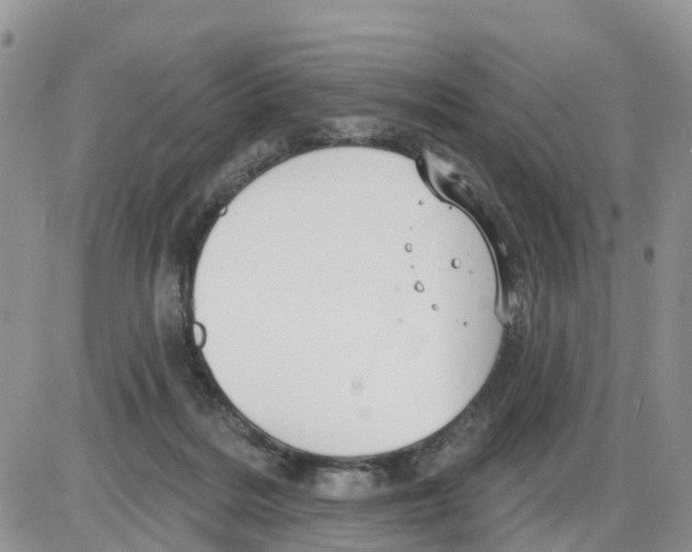 X0000086000220200704201839