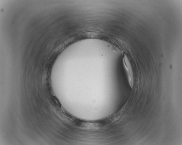 X0000086000221200704201839