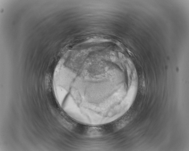 X0000086000222200704201839