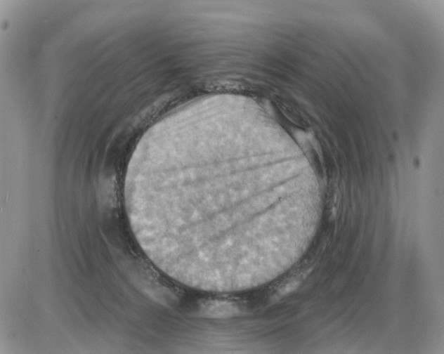 X0000086000224200704201839