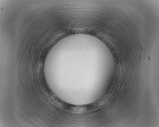 X0000086000225200704201839