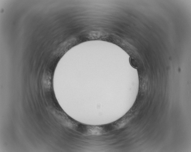 X0000086000226200704201839