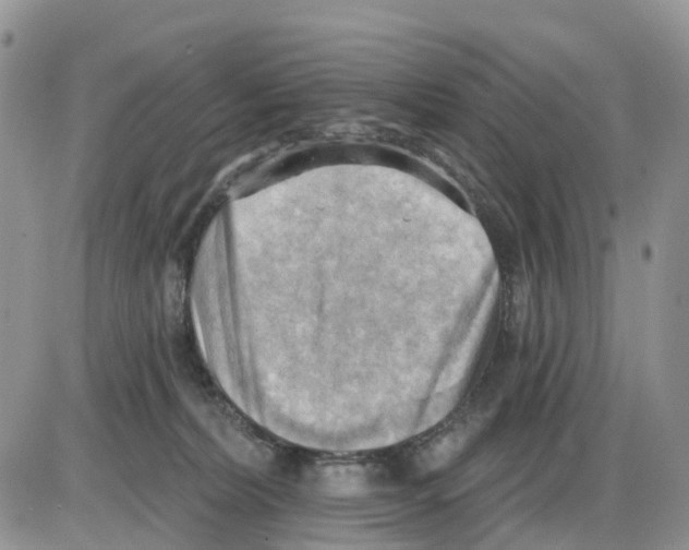 X0000086000228200704201839