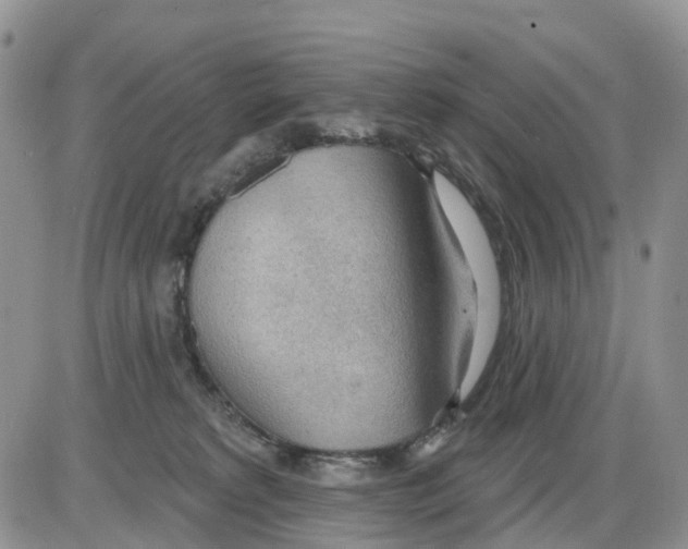 X0000086000229200704201839