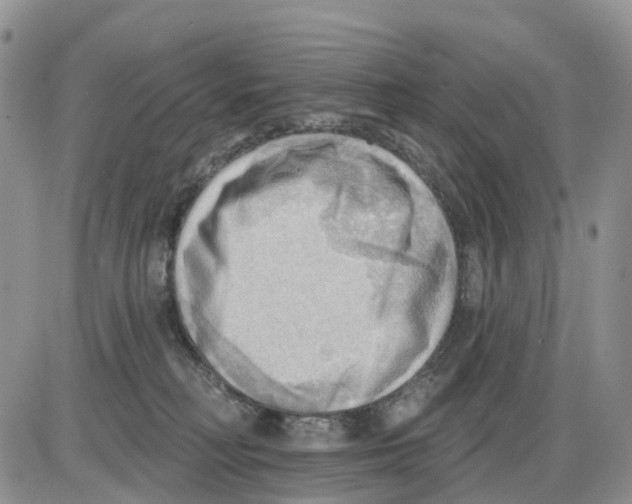 X0000086000230200704201839