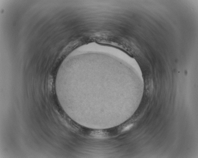 X0000086000231200704201839