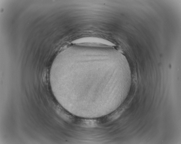 X0000086000233200704201839