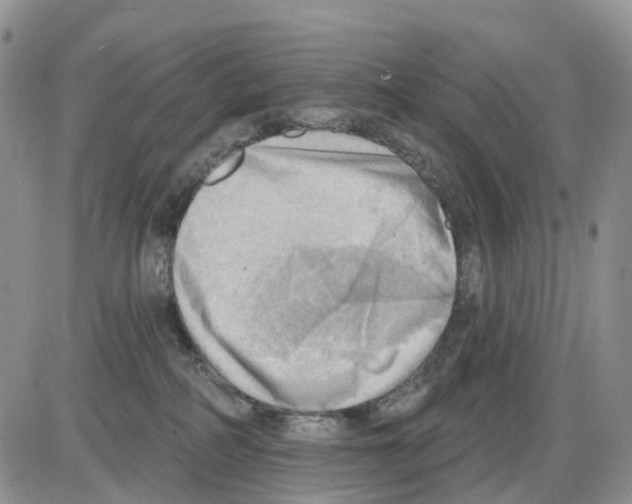 X0000086000234200704201839