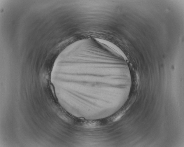 X0000086000235200704201839