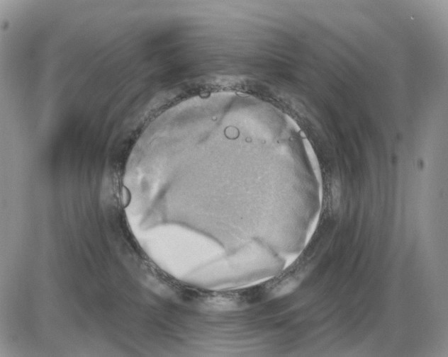 X0000086000236200704201839