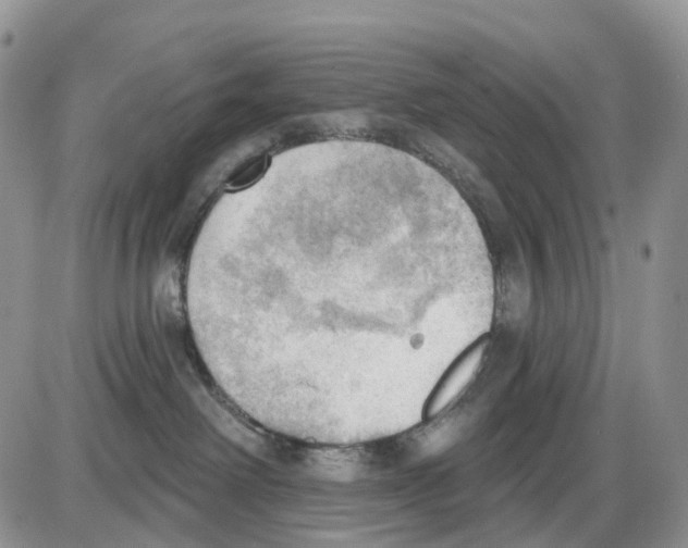 X0000086000238200704201839