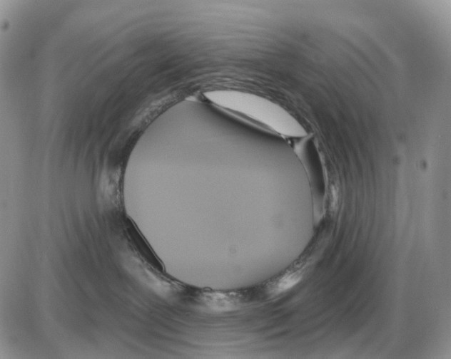 X0000086000239200704201839