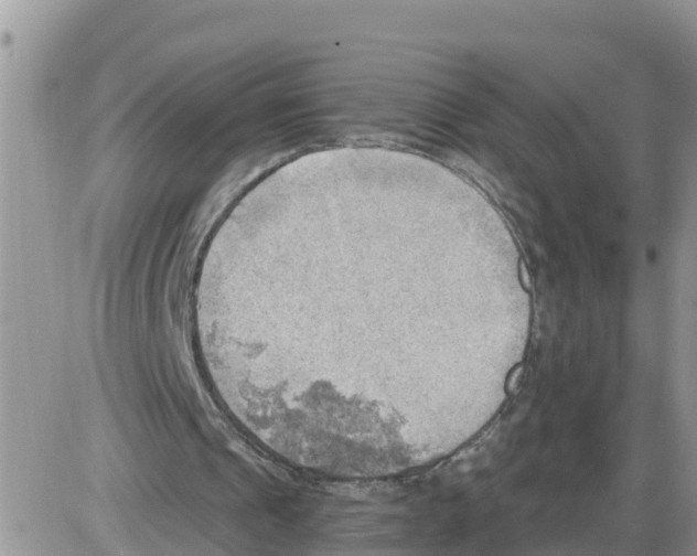 X0000086000241200704201838