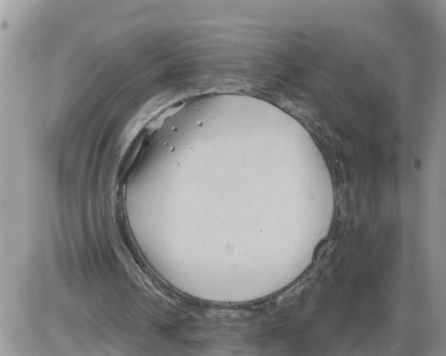 X0000086000242200704201838