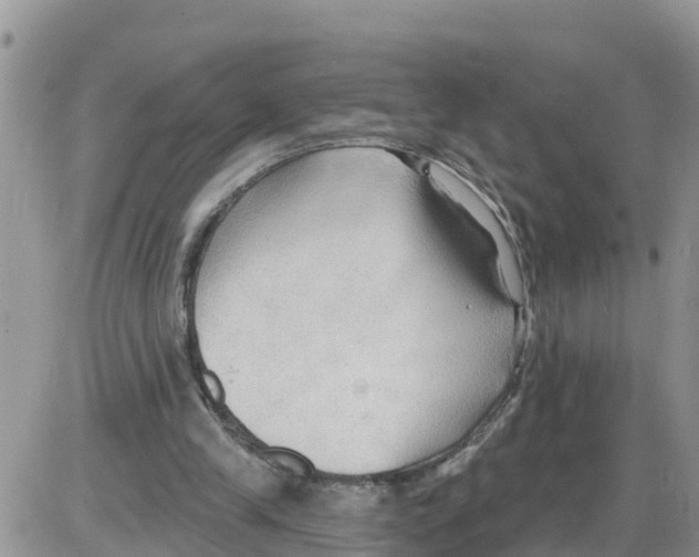 X0000086000245200704201838