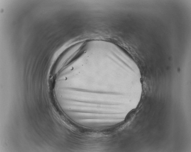 X0000086000246200704201838