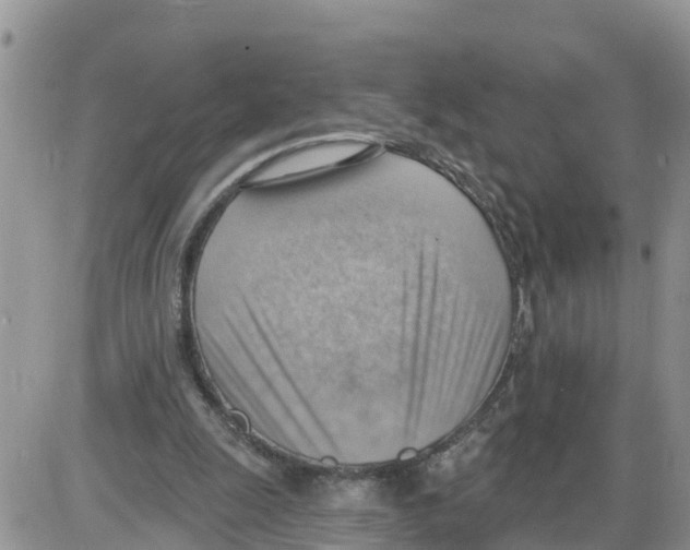 X0000086000247200704201838