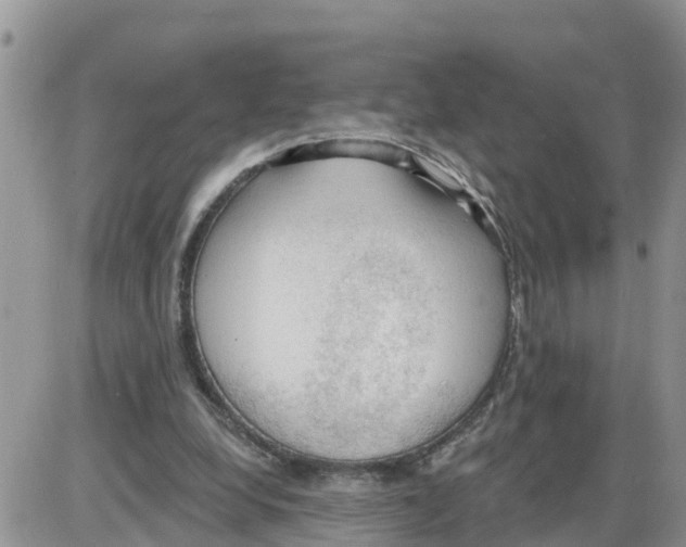 X0000086000248200704201838