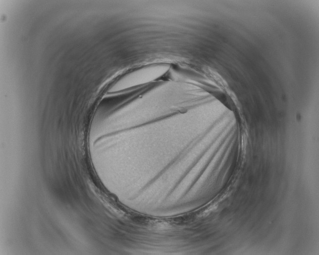 X0000086000249200704201838