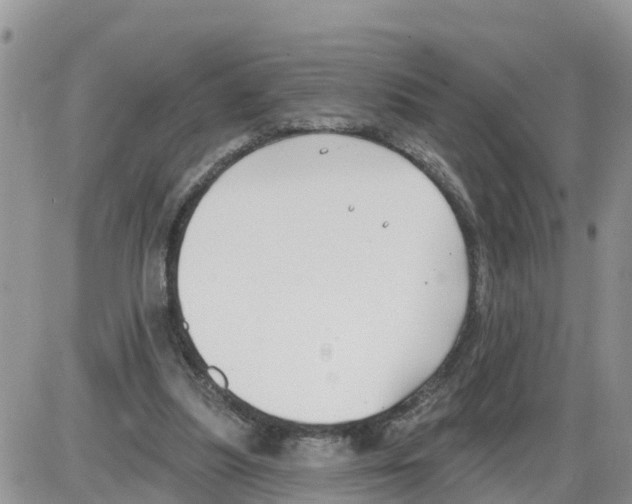 X0000086000251200704201838