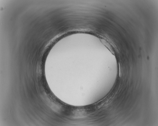 X0000086000252200704201838