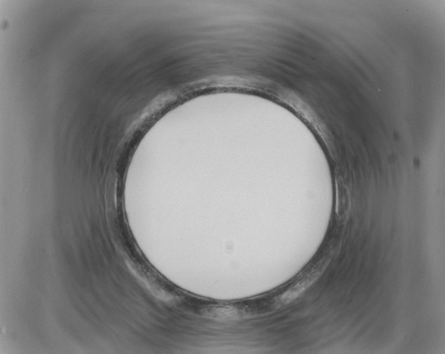 X0000086000253200704201838