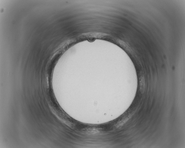 X0000086000254200704201838