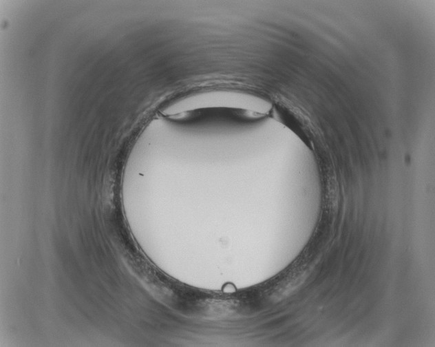 X0000086000255200704201838